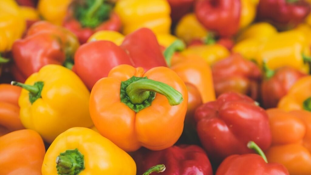 Convention collective fruits et légumes épicerie produits laitiers pdf à télécharger gratuitement en PDF